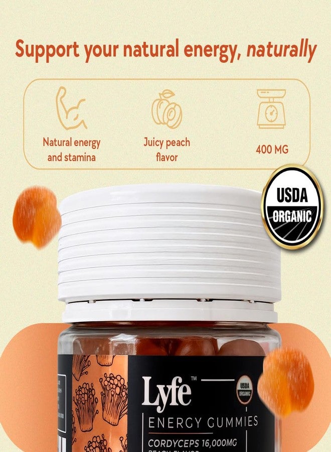 ليف علكات الفطر الوظيفية من لايف، بنكهة الخوخ (40 قطعة) - مكمل غذائي عضوي من الفطر للطاقة الطبيعية والقدرة على التحمل والتركيز - علكات نباتية خالية من الغلوتين، تُؤكل يوميًا لتعزيز الحيوية ودعم المناعة - Image 4